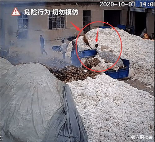 一把打火机的代价 棉花的暴力解构与安全警示